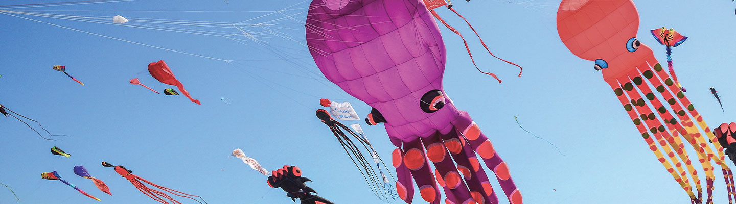 A variety of colorful kites in the sky