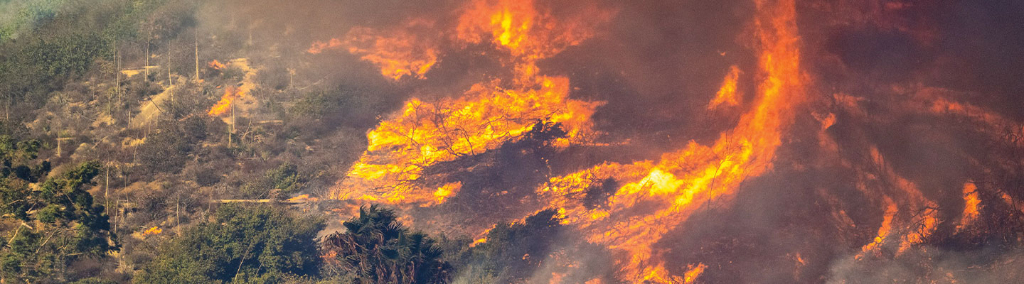 Image of a wildfire