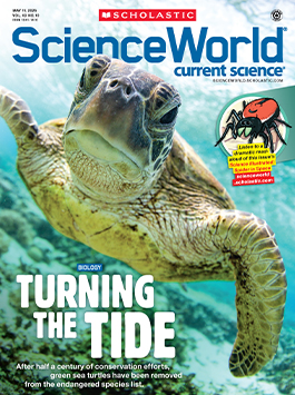 Magazine Issue Cover