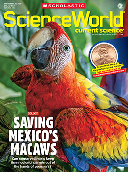 Magazine Issue Cover