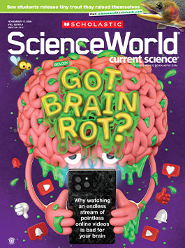 Magazine Issue Cover