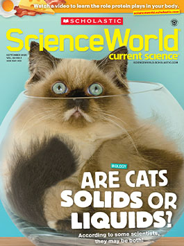 Cover of Science World, a cat sits inside a clear glass bowl with the headline Are Cats Solids Or Liquids